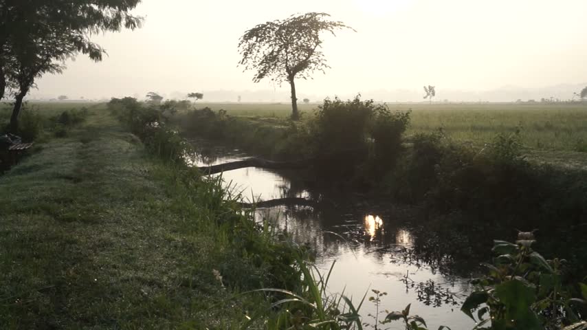 Handheld video of a river with a fallen tree spanning across it.
