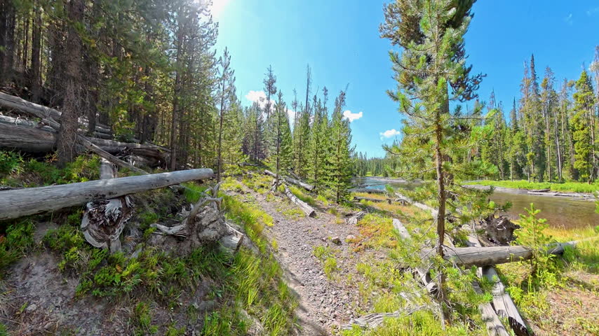 Hiking Along Lewis River in Yellowstone National Park