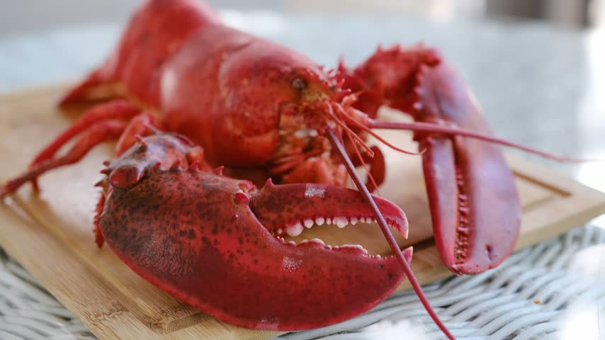 Freshly cooked red lobster on a cutting board