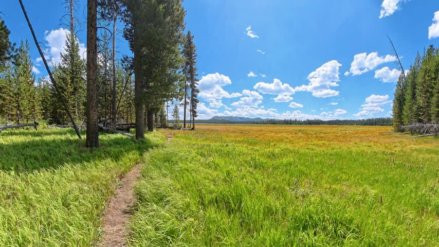 Hiking on Smooth Trail Toward Riddle Lake in Yellowstone