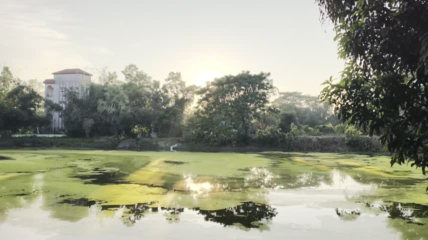 A scenic evening view of a calm rural pond with golden sunset light filtering beautifully through the leaves of surrounding trees