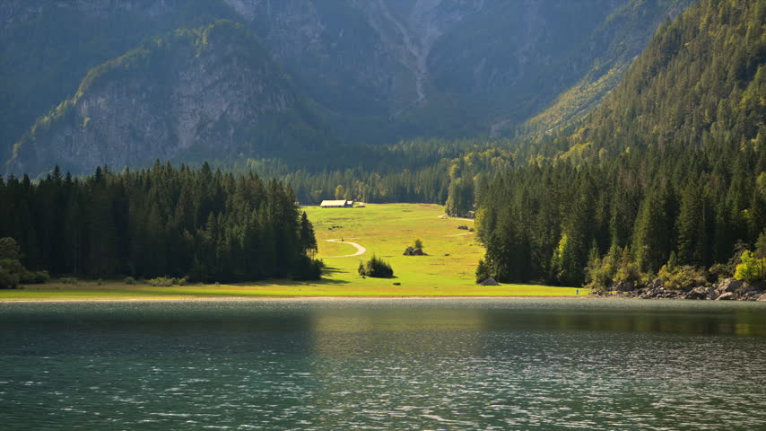 A bright green clearing appears between dark conifer forests on the far shore beneath steep mountain slopes.