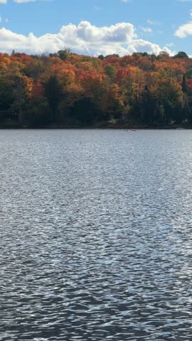 Colorful Autumn Trees Along a Beautiful Lake Seen from a Boat