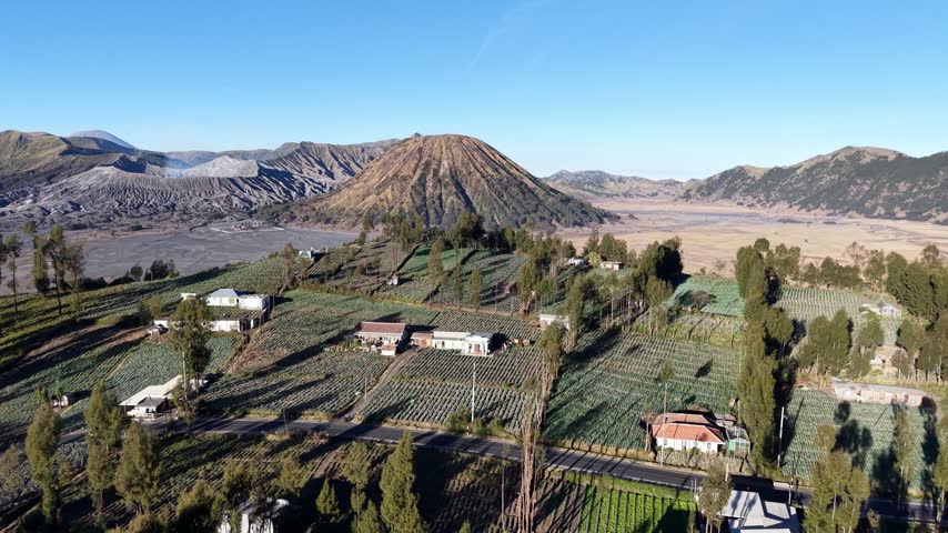 Sweeping aerial view of Mount Bromo, Tengger caldera, volcanic cones, and patchwork agricultural terraces under clear sky.