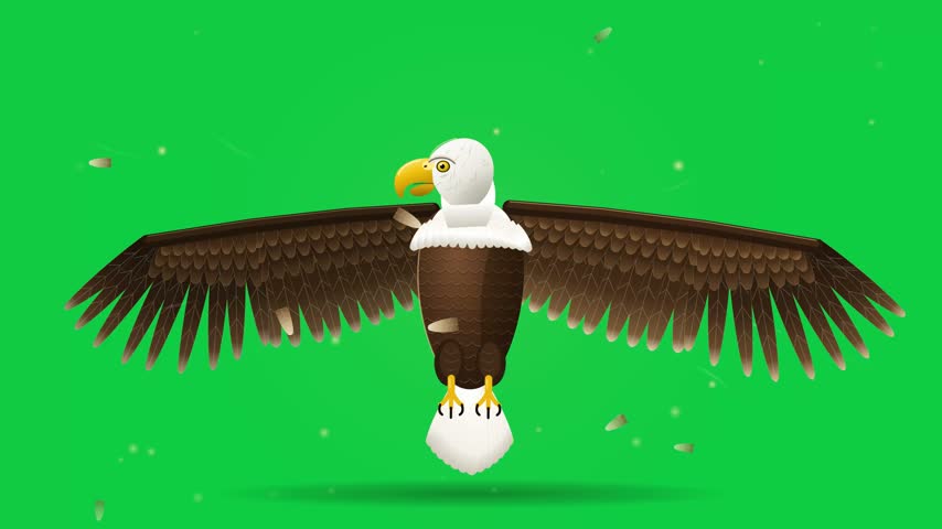 Animated bald eagle illustration soaring majestically with wings wide open against a vibrant chroma key background.