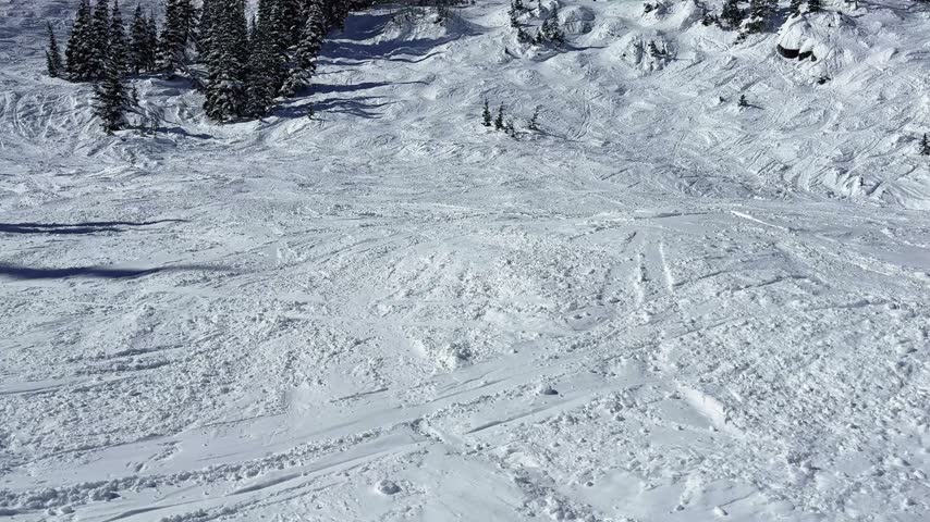 Beautiful landscape shot tilting up to reveal snow-covered mountains, pine trees, and skiers and snowboarders at Brighton Ski Resort in Utah, up Big Cottonwood Canyon, on an overcast winter day.
