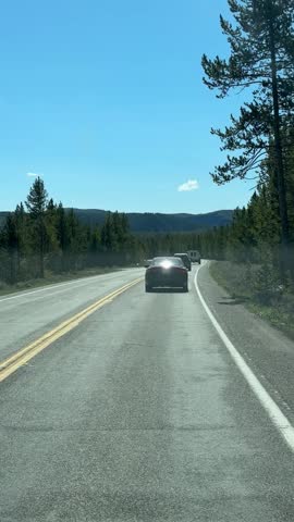 Road through the Yellowstone National Park, Wyoming, USA