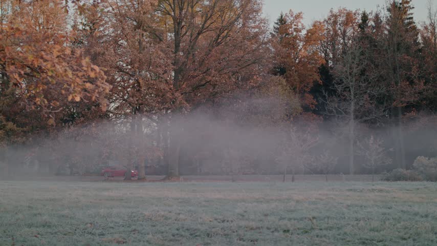 Red sports car moving along scenic forest road surrounded by autumn trees and thick morning fog during cold sunrise season.
