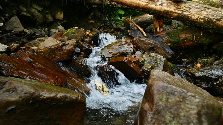 Water flows rapidly and bubbles over wet rocks in a forest stream. A low-angle, close-up shot captures the continuous motion. Natural lighting highlights the foaming current.