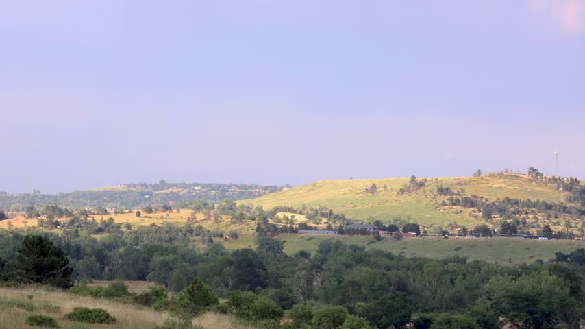 Scenic overlook of golden grassy hills and dense green trees during sunset golden hour in rural countryside environment.