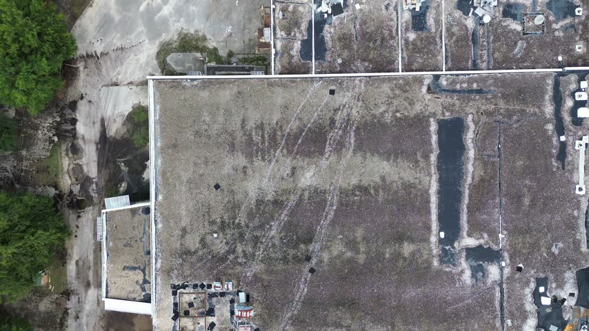 Encroaching woodland borders surround decaying service bays adjoining desolate department buildings along Charleston. Faded concrete curbs separate barren parking spaces within, South Carolina. USA.