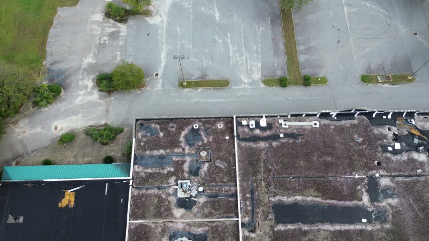 Neglected commercial boundary borders dense southern woodland growth delineate expansive barren lots outside shuttered department structures along Charleston. Weathered bitumen, South Carolina. USA.