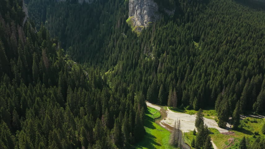 Dense trees close around a slim river channel beneath rugged cliffs in a secluded section of Zanoaga Gorge.