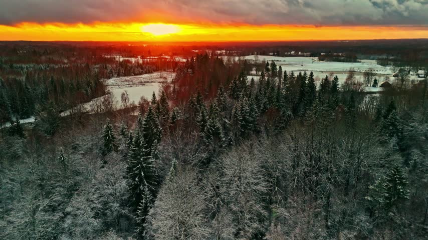 Breathtaking drone footage of snow covered pine trees at dusk with orange sunset light glowing over rural winter landscape.