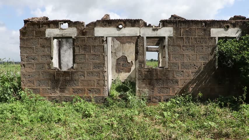 A deserted stone building with no roof sits hidden among dense bushes and untamed greenery. Its ageing walls and neglected surroundings create a rustic landscape that reflects the passage of time and the quiet decay of an abandoned homestead.