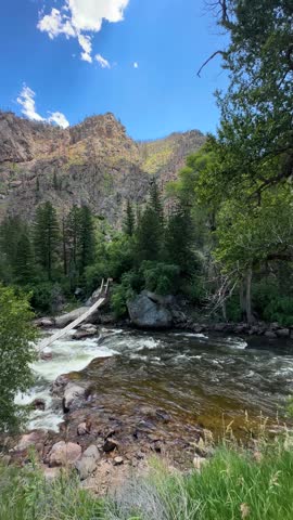 Vertical View, Footbridge Above Creek Rapids in State Forest State Park in Colorado USA