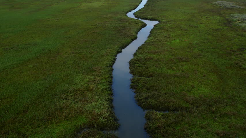 Drone shot of a winding tidal creek curving through dense green marsh grass at Upper Newport Bay in Costa Mesa, California, with clouds reflected in the calm, dark water.