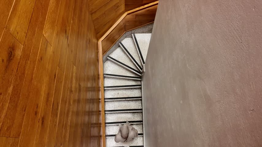 Person walking down a spiral staircase in a building