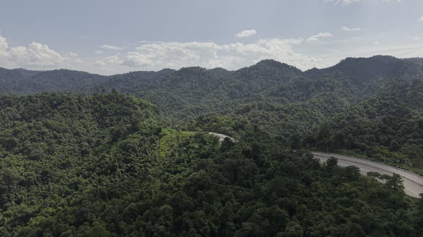 Scenic aerial shot of a divided highway bending through lush forest under a bright cloudy sky.