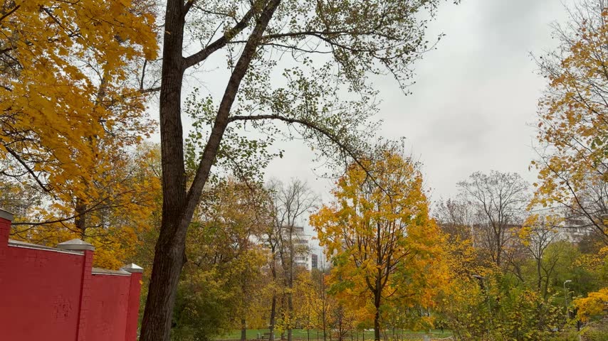 Trees and autumn foliage in a park setting, seasonal scenery, urban landscape.