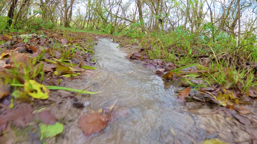 Close up low angle shot of clear water rippling over rocks in small woodland creek after winter downpour
