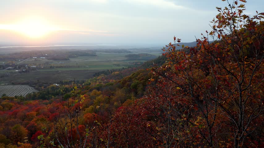 Autumn forest hillside foliage overlooking agricultural valley and river at dusk. Champlain Lookout in Gatineau Park, Canada.