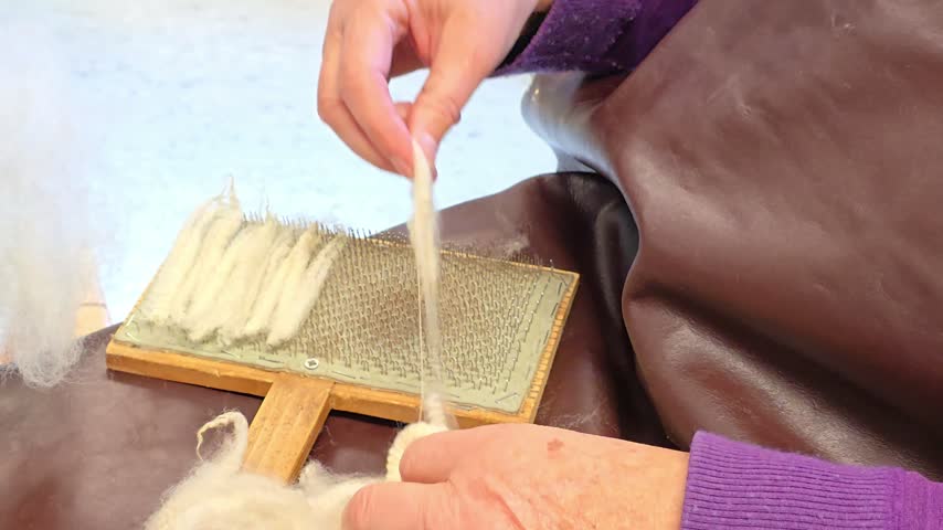 Hands Arranging Raw Sheep Wool on a Metal Toothed Wool Carder. Norway, Alver. Oktober