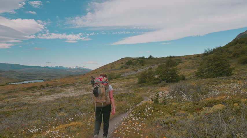Following a female hiker on a narrow trail surrounded by flowers and meadows, Torres del Paine W Trek, Patagonia, Chile