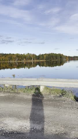 Calm Lake surrounded by autumn trees standing on a road viewing the rail video views to the left as a seagull flies overhead the sun is shining just before dark.