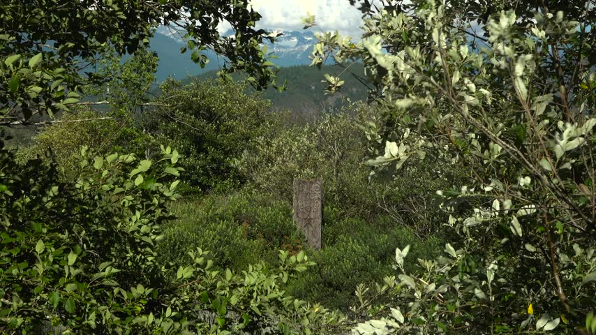 Indigenous wooden carving stands on a mountain meadow near Squamish, British Columbia. Thick tree branches frame the weathered monument looking out at distant forest ridges on a summer day.