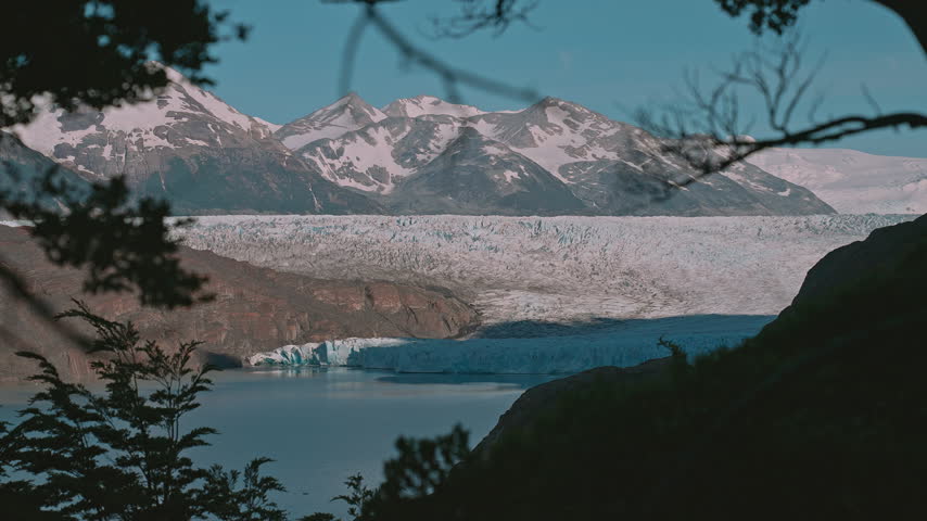 Grey Glacier and Mountain Lake Framed by Trees in Torres del Paine National Park, Patagonia, Chile