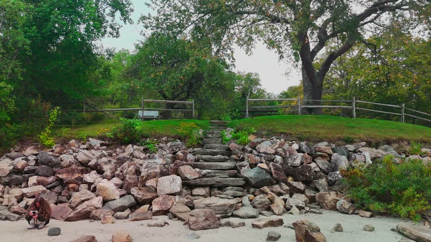 Aerial view of stone steps along a rocky shoreline leading to a fenced grassy area beneath large trees, showcasing scenic lakeside access, park landscapes, and outdoor recreation.