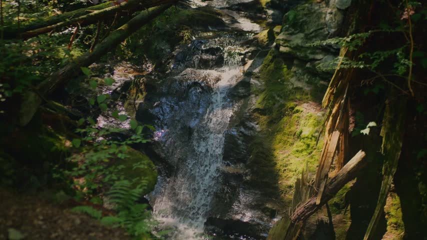 Scenic waterfall flowing over mossy rocks in Savoy Mountain State Forest, Massachusetts, with sunlight filtering through the surrounding forest.