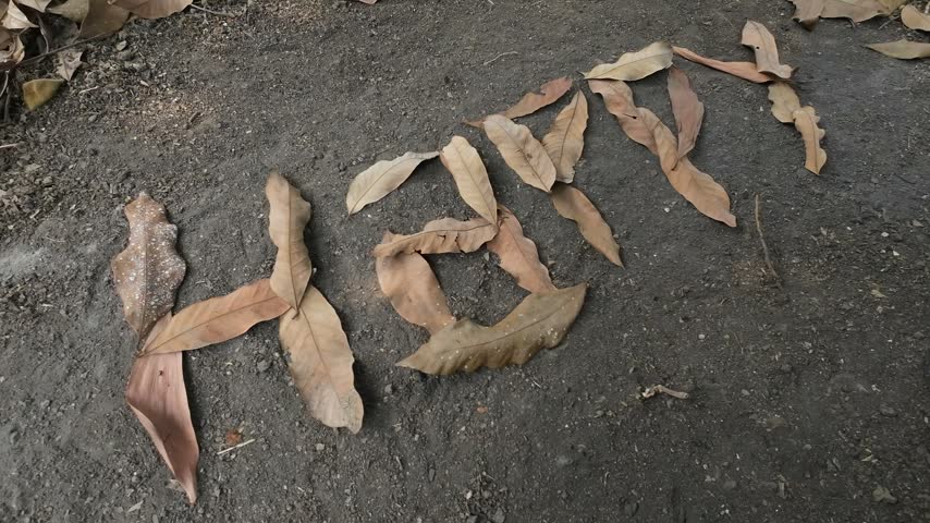 Word HAPPY written with dry leaves viewed from the left corner angle