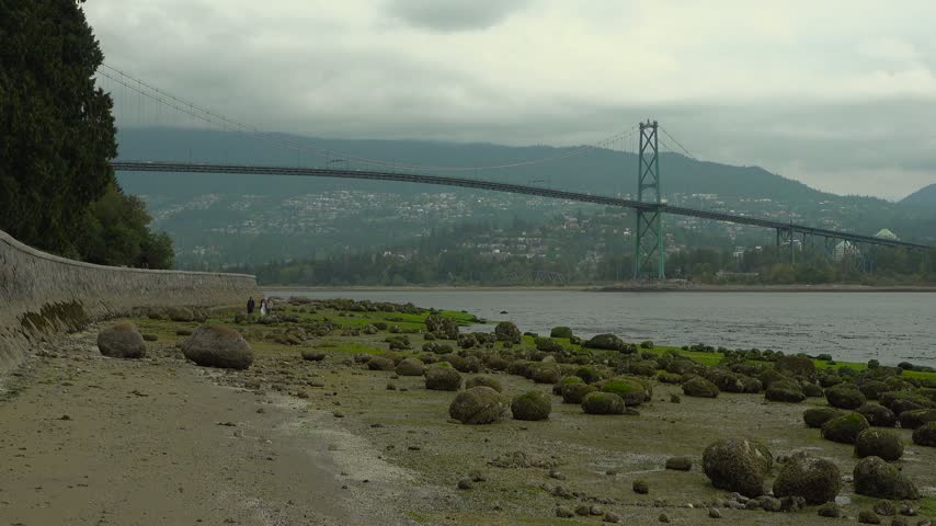 Stationary shot of the iconic Lions Gate Bridge stretching across the water from Stanley Park in Vancouver, British Columbia. Mossy boulders line the sandy low-tide beach below an old stone seawall.