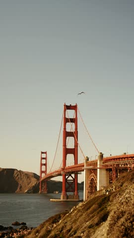 Golden Gate Bridge towers in warm golden hour evening light with a seagull flying through the sky above a rocky hillside. Famous suspension bridge landmark at sunset, San Francisco, California, USA.