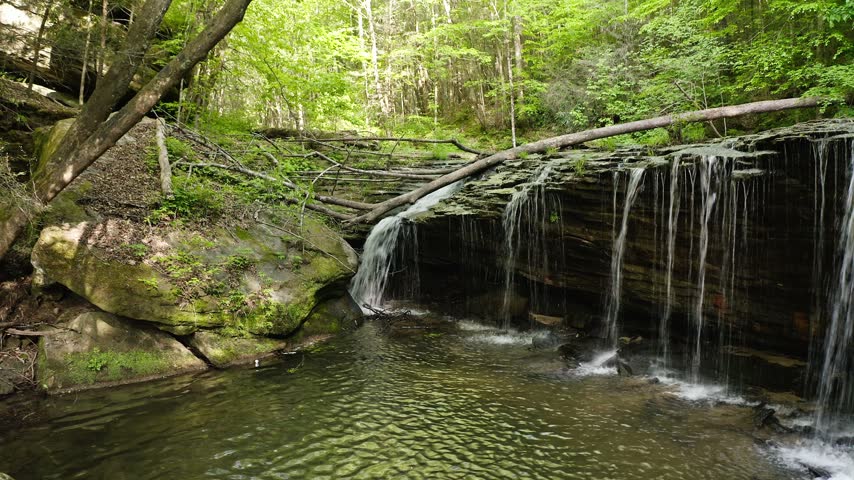 High angle view of Princess Falls and its broad sandstone ledge surrounded by dense late-spring forest in Daniel Boone National Forest in the Big South Fork region of southern Kentucky