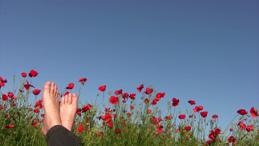 Poppy field. Sunny day. Barefoot man on a background of blue sky