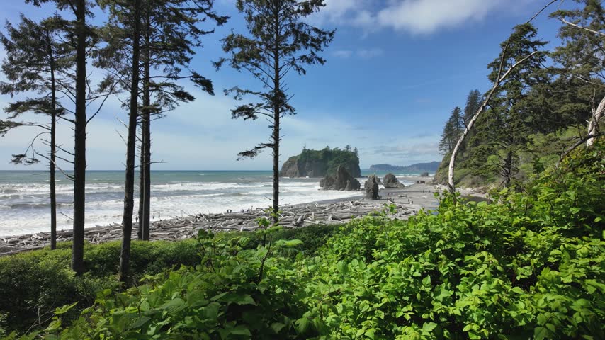 Ocean waves and sea stacks framed by trees and green leaves swaying in the breeze on Ruby Beach, Olympic National Park, Washington State