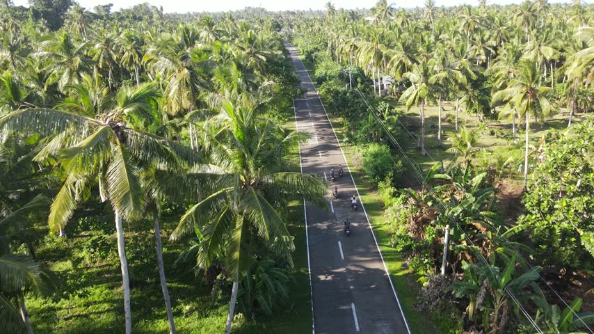 Aerial view of several motorbikes riding along a long straight road in Siargao, Philippines. Rows of palm trees on both sides and dense tropical vegetation surrounding the asphalt roadway.