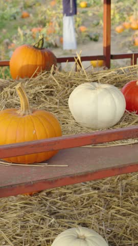 Various types of pumpkins in orange, white, and red resting on hay inside a rustic red cart. A pumpkin patch is visible in the background