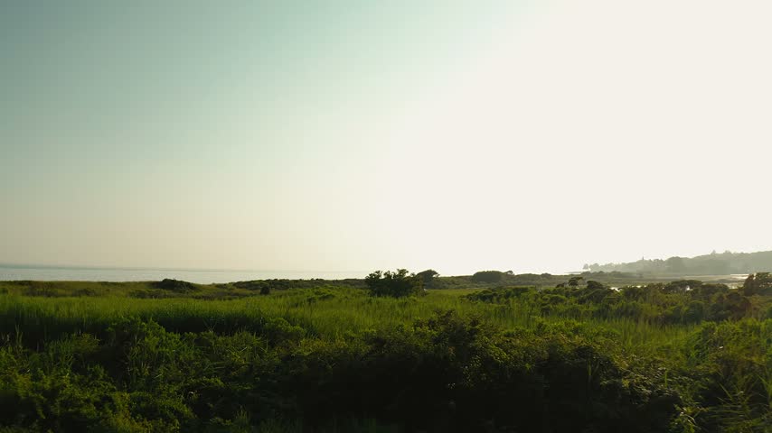 Sweeping marshland and wetlands at Harkness Memorial Park in Connecticut with an ocean view and tall grass