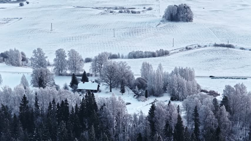 Aerial view of a small house nestled among frost-covered trees in a vast snow-covered rural landscape in Latvia.