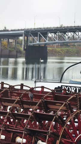Vertical shot of a large, weathered red wooden paddle wheel on an old riverboat on the Willamette River with a large gray heron perched on the wood on a cold, rainy November day in Portland, Oregon.