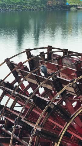 Vertical shot of a large, weathered red wooden paddle wheel on an old riverboat on the Willamette River with a large gray heron perched on the wood on a cold, rainy November day in Portland, Oregon.