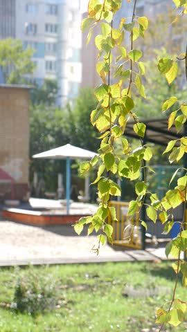 Vertical close-up of tree branch with yellow and green leaves. Blurred urban courtyard in kindergar with playground, umbrella and apartment buildings. City nature concept 4k shot