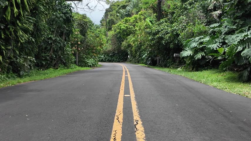 Empty road with a double yellow line cutting through lush green jungle, Big Island, Hawaii
