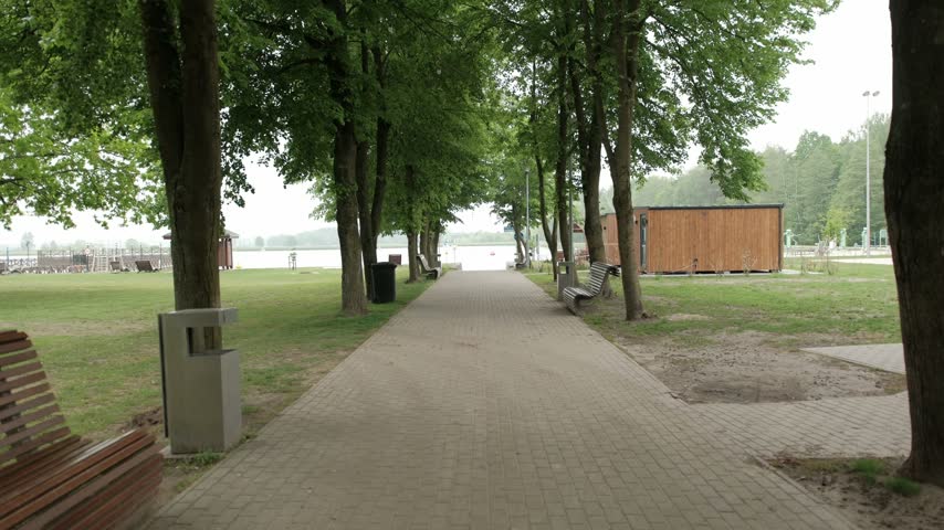 A paved pathway lined with green trees leading towards a tranquil lake in a recreational park