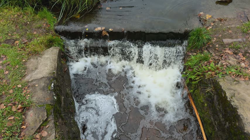 a river tributary that turns into a stream and a waterfall in the park
