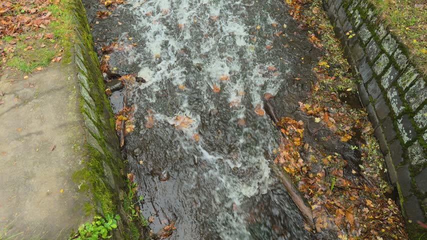 a river tributary that turns into a stream and a waterfall in the park